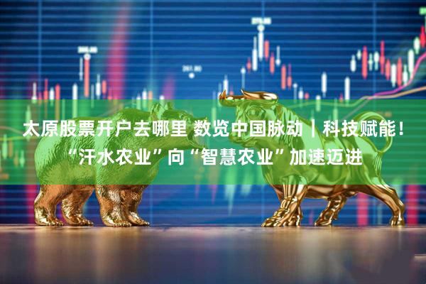 太原股票开户去哪里 数览中国脉动｜科技赋能！“汗水农业”向“智慧农业”加速迈进